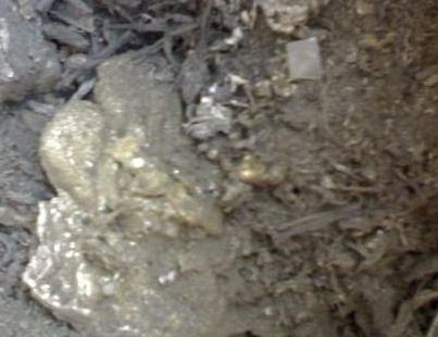 �a�������ИI(y��)�đ�(y��ng)�Ã�(y��u)��������